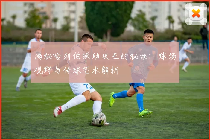 揭秘哈利伯顿助攻王的秘诀：球场视野与传球艺术解析